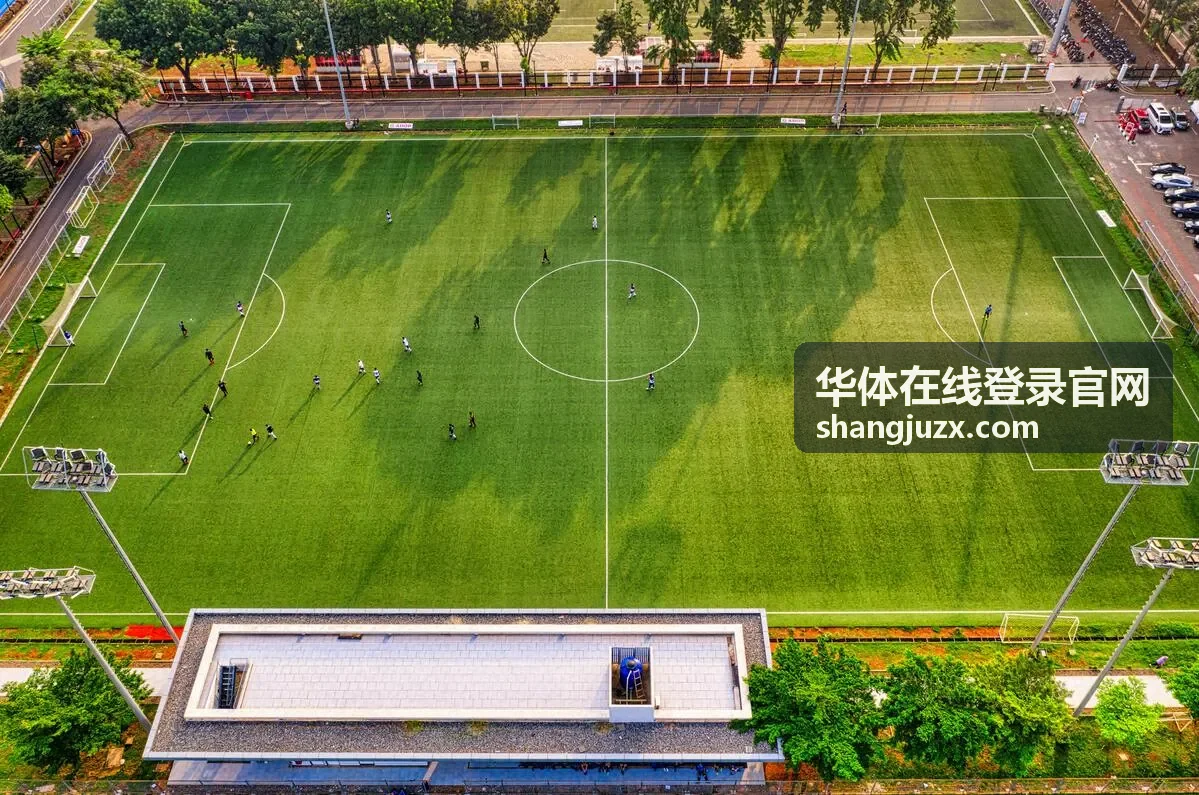 华体在线登录官网账号安全设置相关图示