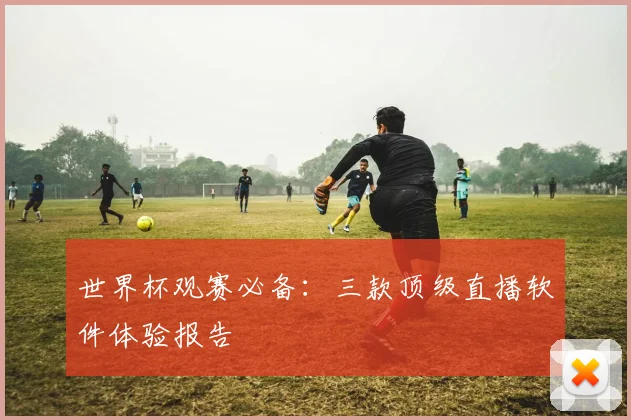 世界杯观赛必备：三款顶级直播软件体验报告
