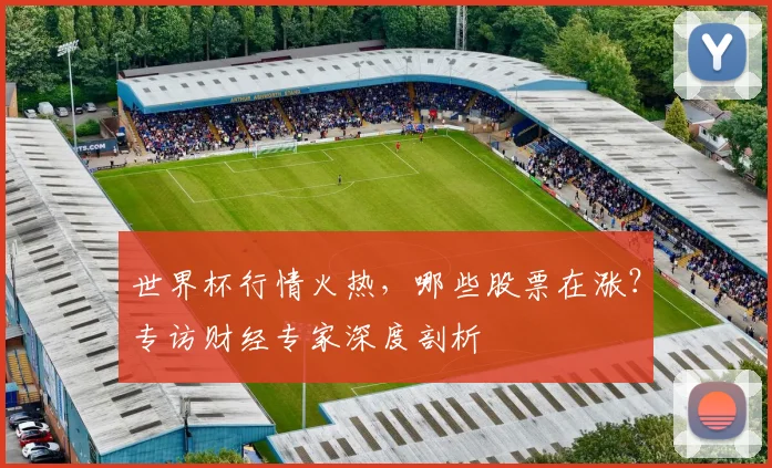 世界杯行情火热，哪些股票在涨？专访财经专家深度剖析