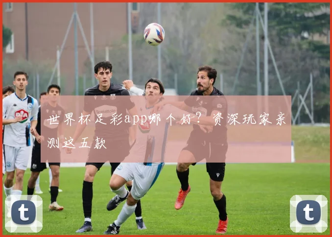 世界杯足彩app哪个好？资深玩家亲测这五款