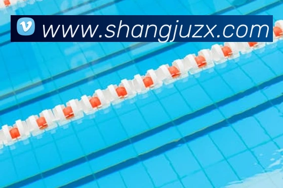 爱游戏ayx官方登录入口 - 爱游戏(中国)服务体系